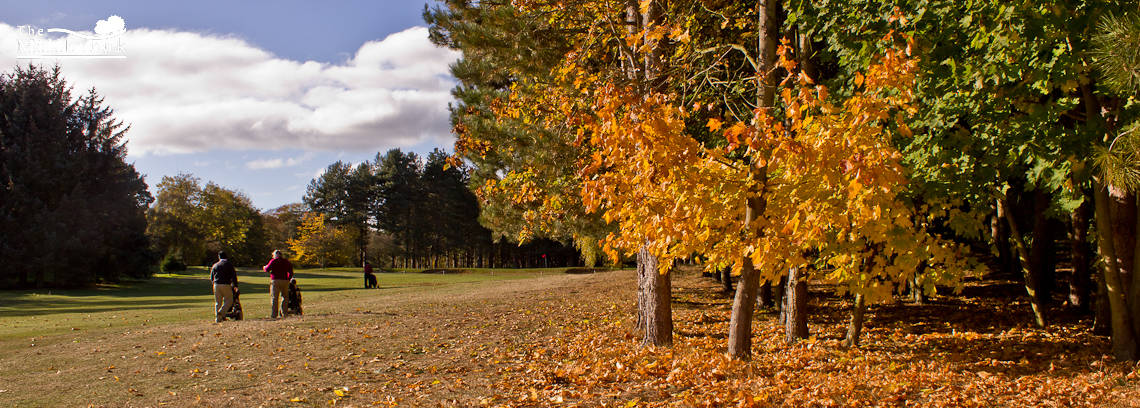 Autumn 1140 x 408 - 2