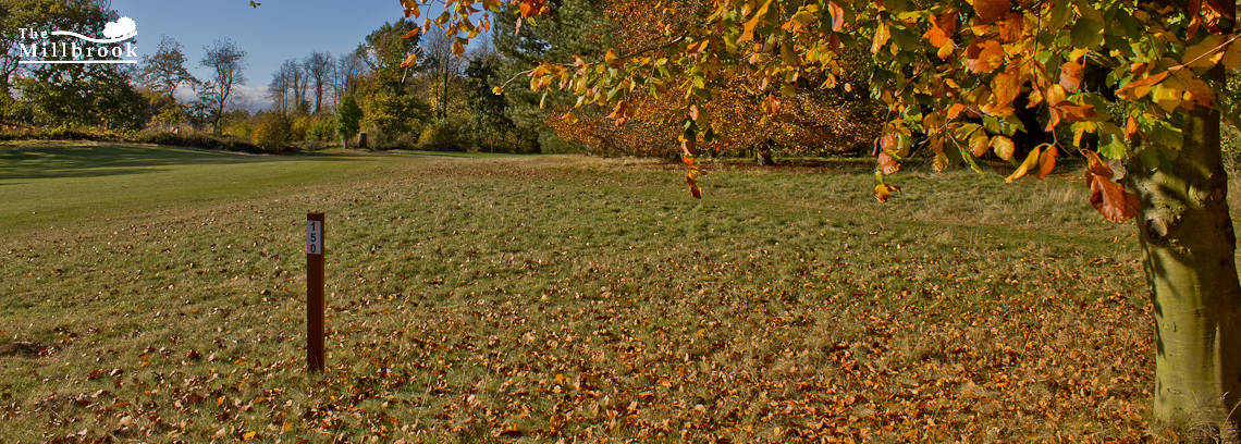 Autumn 1140 x 408 - 6