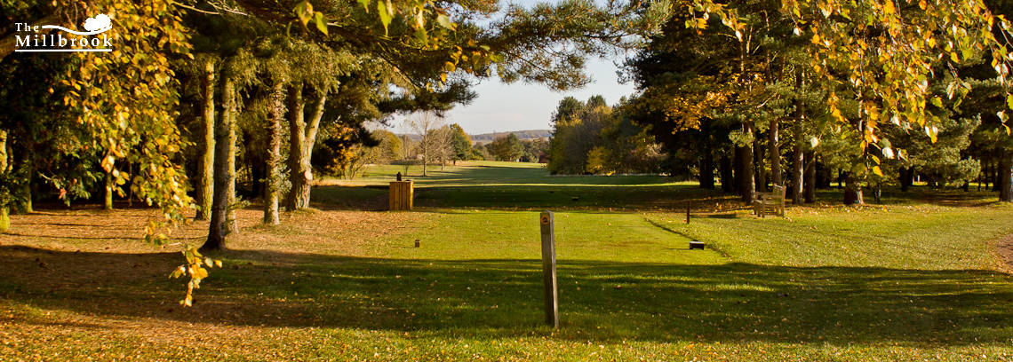 Autumn 1140 x 408 - 1