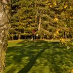 Autumn 1140 x 408 - 9