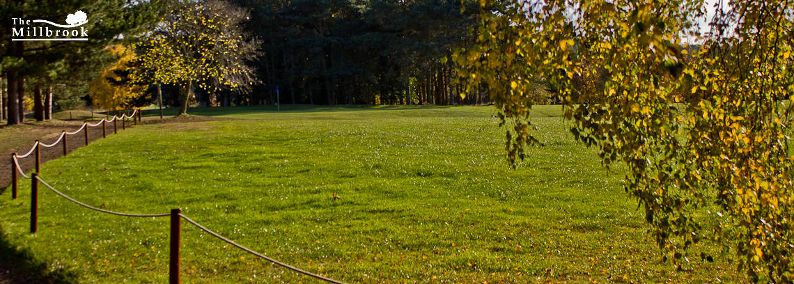 Autumn 1140 x 408 - 10