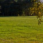 Autumn 1140 x 408 - 10