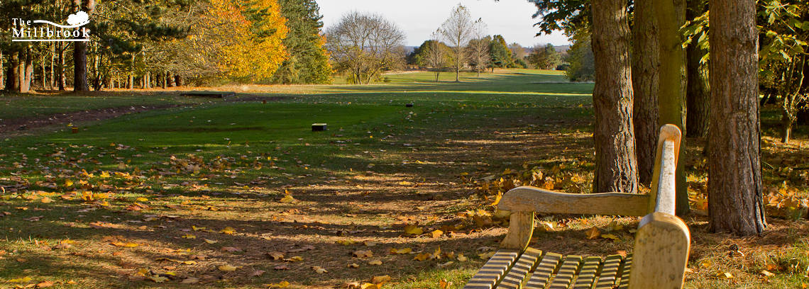 Autumn 1140 x 408 - 3
