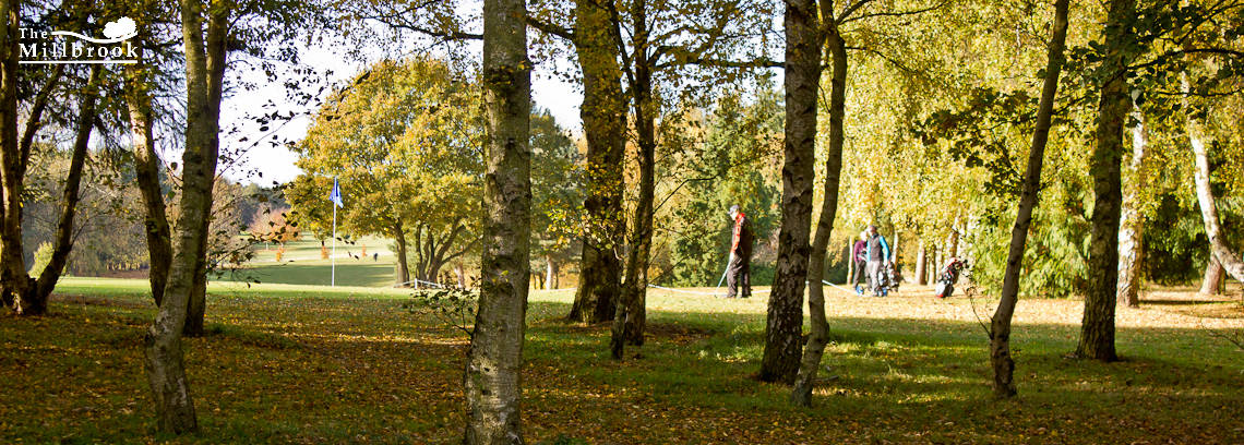 Autumn 1140 x 408 - 5