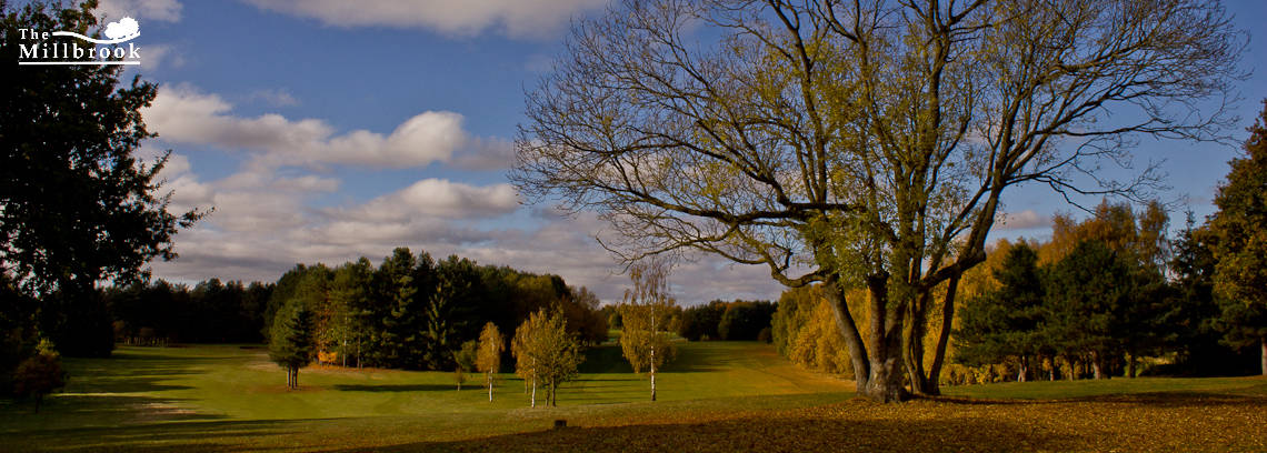 Autumn 1140 x 408 - 11