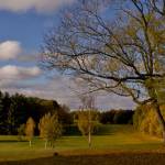 Autumn 1140 x 408 - 11