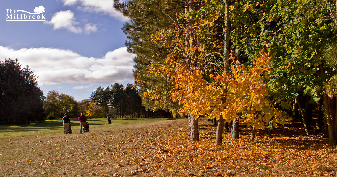 Autumn 1140 x 600 - 2