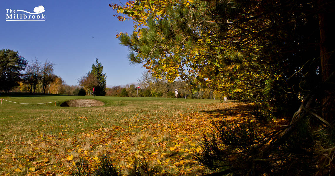 Autumn 1140 x 600 - 13