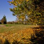 Autumn 1140 x 600 - 13