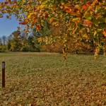 Autumn 1140 x 600 - 6