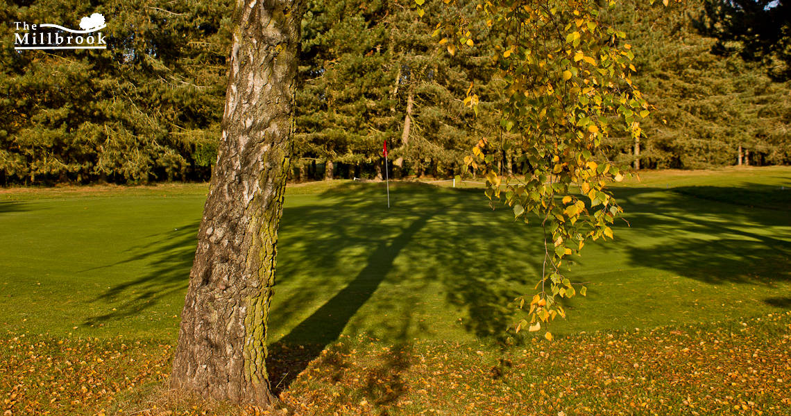 Autumn 1140 x 600 - 9