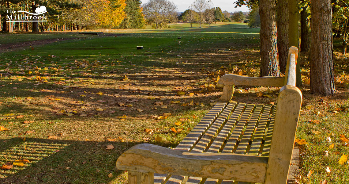 Autumn 1140 x 600 - 3