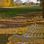 Autumn 1140 x 600 - 3