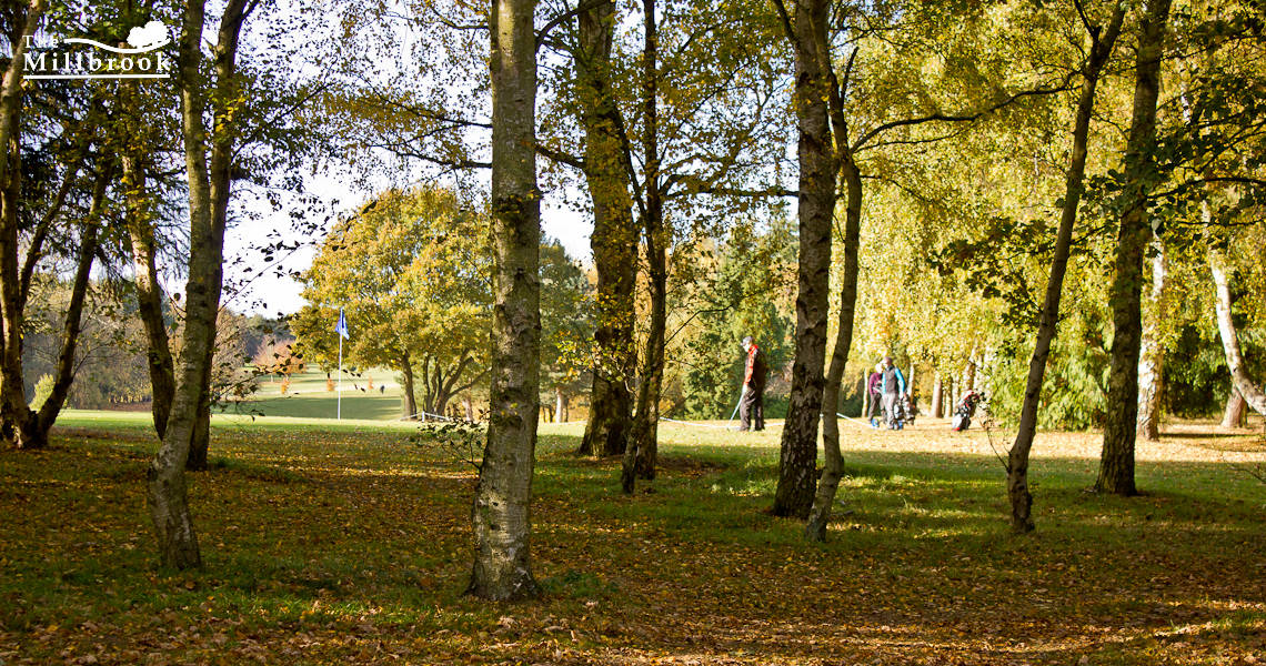 Autumn 1140 x 600 - 5