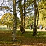 Autumn 1140 x 600 - 5