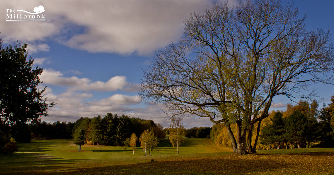 Autumn 1140 x 600 - 11