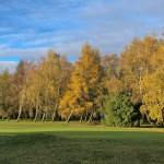 Autumn 1140 x 600 - 15