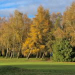 Autumn 1140 x 408 - 15