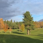 Autumn 1140 x 408 - 17